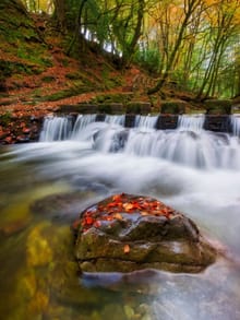 A long-exposure photo of a waterfall in an autumn forest