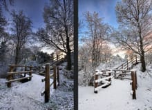 Winter Walkwalk 2009 vs 2011